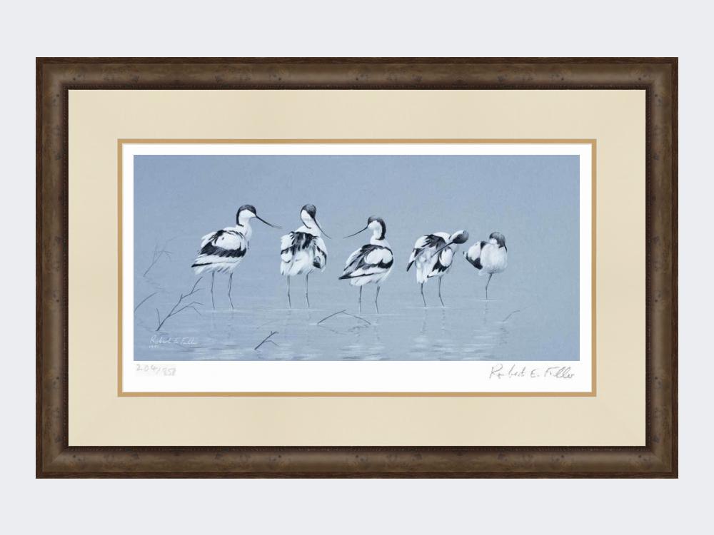 Avocets | Limited Edition Art Print