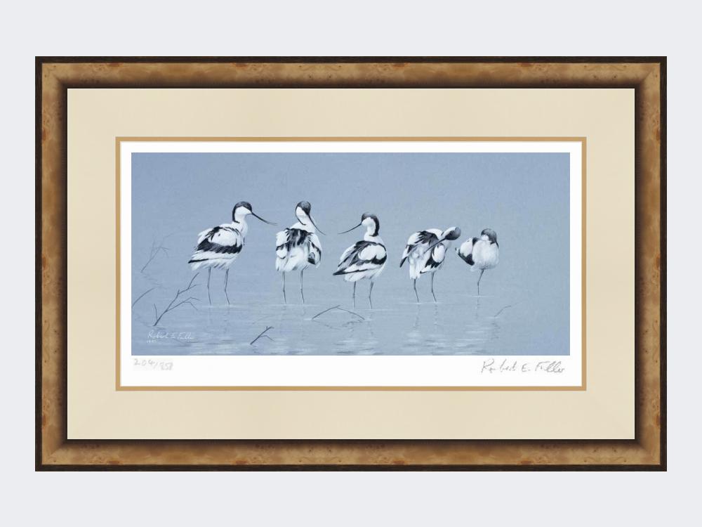 Avocets | Limited Edition Art Print