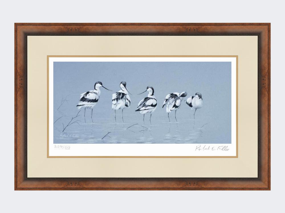 Avocets | Limited Edition Art Print