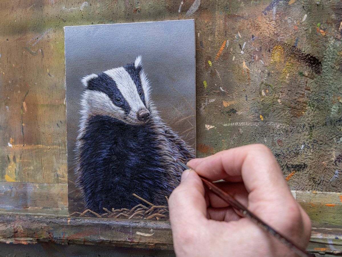 NOW SOLD Badger | Original Painting