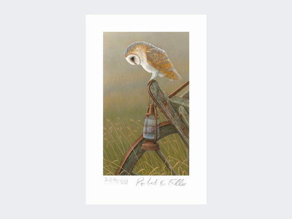 Barn Owl on Storm Lamp | Limited Edition Art Print Barn Owl on Storm Lamp | Limited Edition Art Print