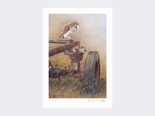 Barn Owl on Trailer | Limited Edition Art Print Barn Owl on Trailer | Limited Edition Art Print