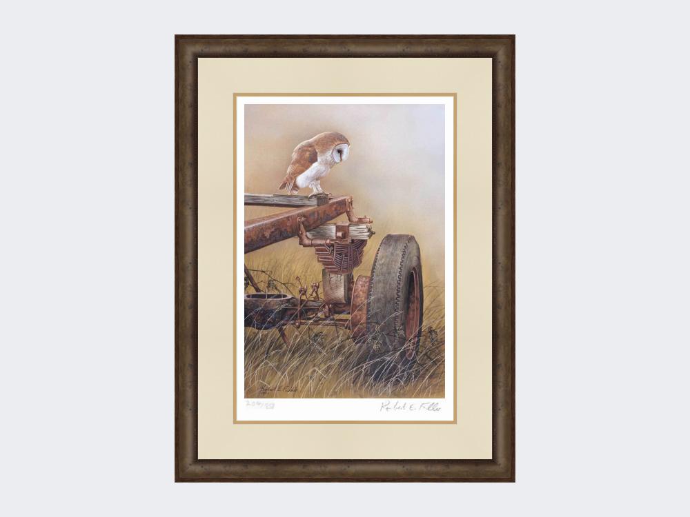 Barn-Owl-on-Trailer-Print-Small-Dark-Grey-Burr
