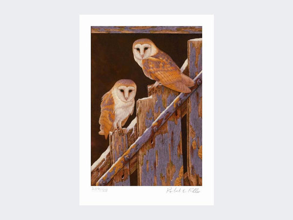 Barn Owls at Duggleby | Limited Edition Art Print Barn Owls at Duggleby | Limited Edition Art Print