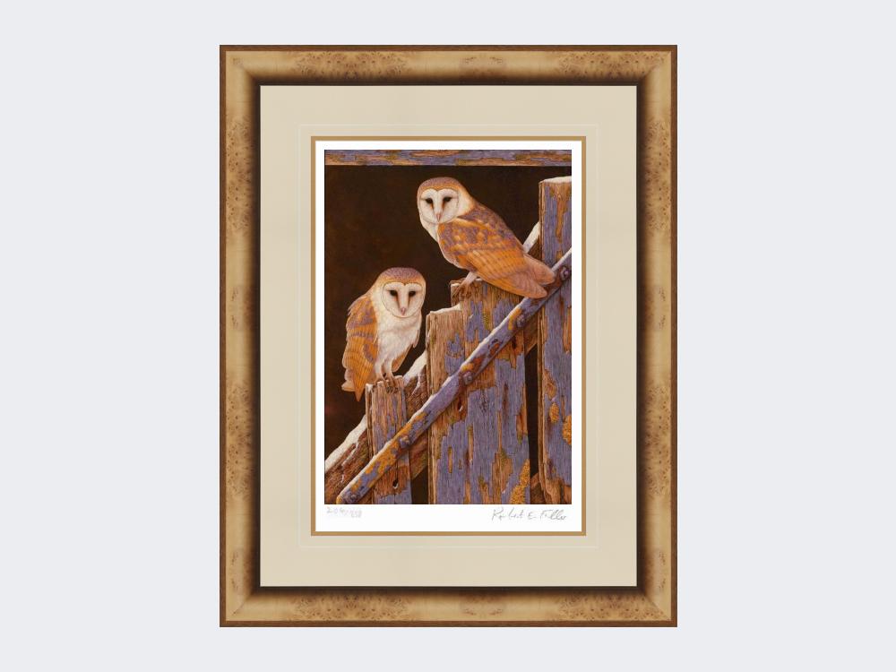 Barn-Owls-at-Duggleby-Print-Medium-Light-Burr