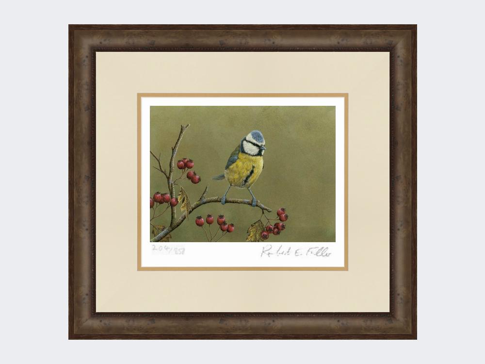 Blue-Tit-on-Lookout-Print-Small-Dark-Grey-Burr