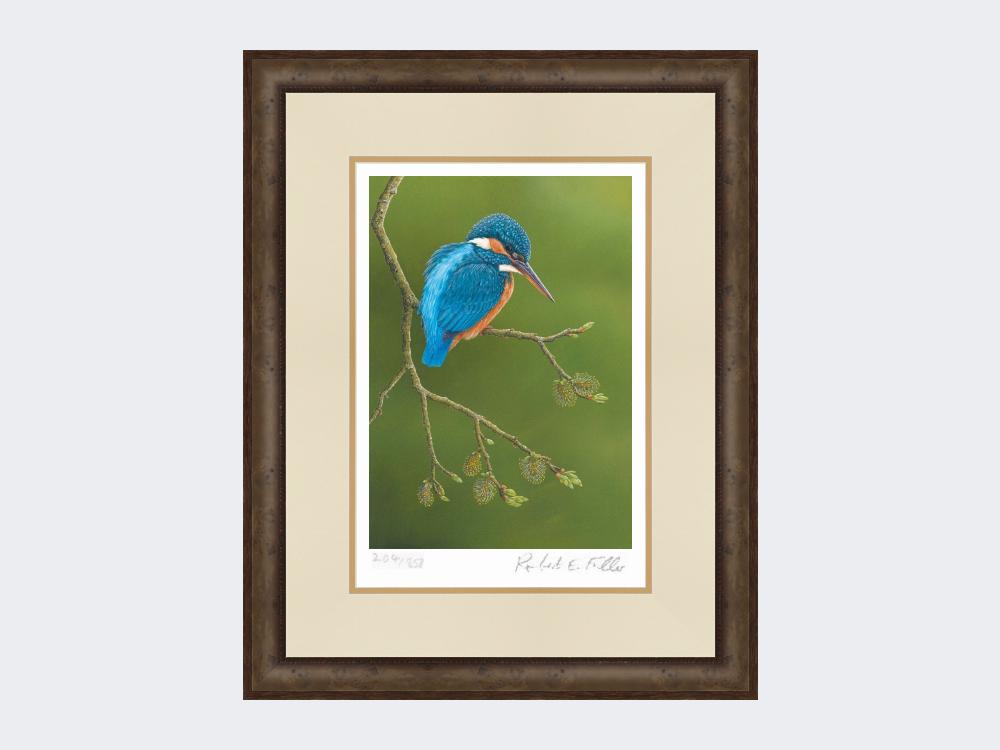 Colourful-Kingfisher-Print-Small-Dark-Grey-Burr