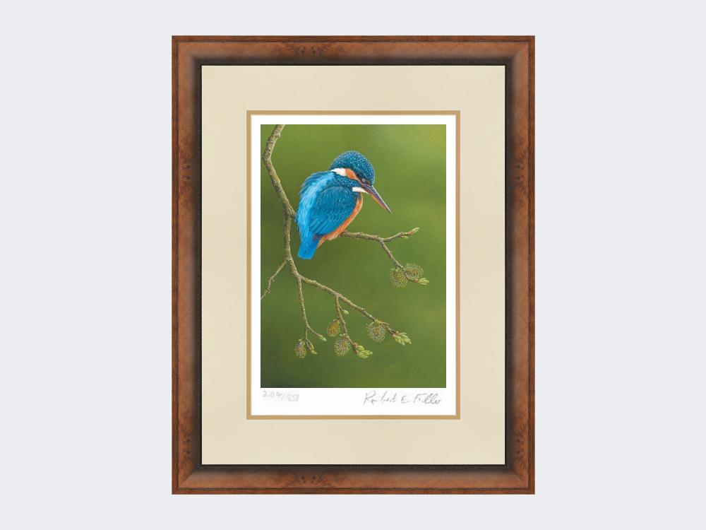 Colourful-Kingfisher-Print-Small-Walnut-Burr