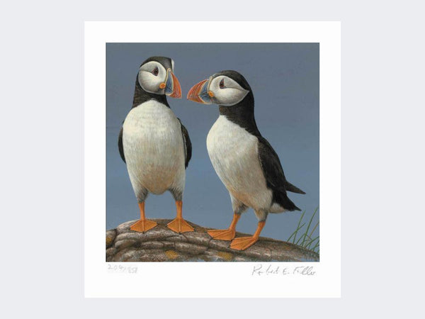 Courting Puffins | Limited Edition Art Print Courting Puffins | Limited Edition Art Print