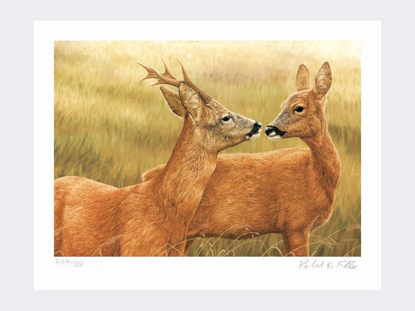 Courting Roe Deer | Limited Edition Art Print Courting Roe Deer | Limited Edition Art Print