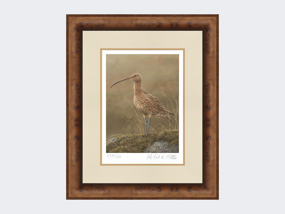 Curlew-Limited-Edition-Print-Medium-Walnut-Burr