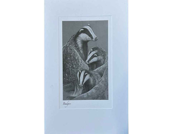 Badger | Individual Card | Size E Badger | Individual Card | Size E