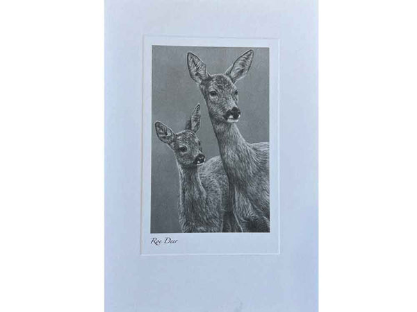 Deer | Individual Card | Size E Deer | Individual Card | Size E