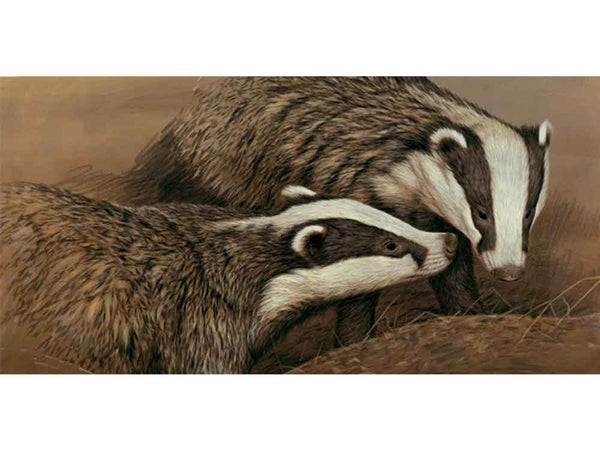 Badger Bond | Individual Card | Size D Badger Bond | Individual Card | Size D