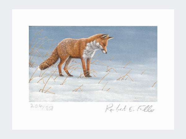 Fox a Mousing | Limited Edition Art Print Fox a Mousing | Limited Edition Art Print