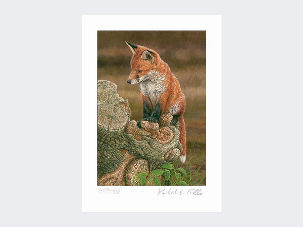 Fox on Tree Stump | Limited Edition Art Print Fox on Tree Stump | Limited Edition Art Print