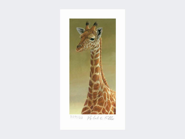 Giraffe Portrait | Limited Edition Art Print Giraffe Portrait | Limited Edition Art Print