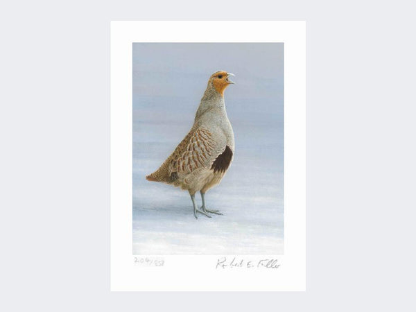 Grey Partridge - Christmas Calling | Limited Edition Art Print Grey Partridge - Christmas Calling | Limited Edition Art Print