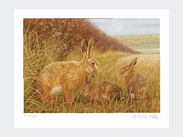 Hare and Leverets | Limited Edition Art Print Hare and Leverets | Limited Edition Art Print