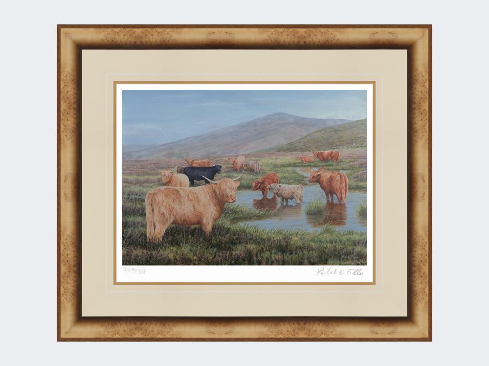 Highland-Cattle-Print-Medium-Light-Burr