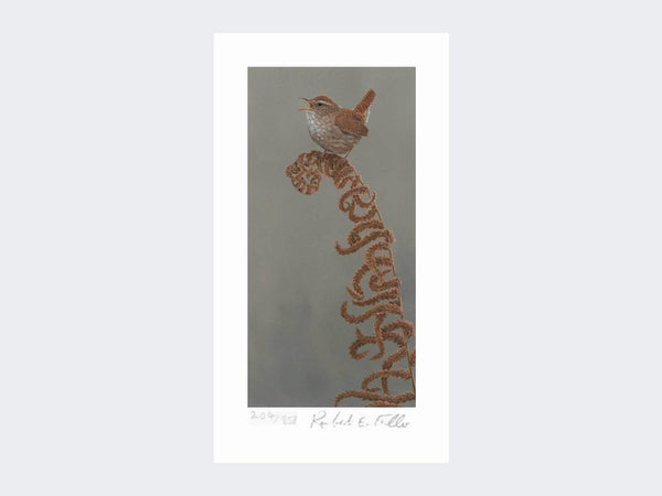 Jenny Wren | Limited Edition Art Print Jenny Wren | Limited Edition Art Print