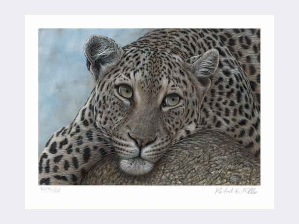 Just Checking | Limited Edition Art Print Just Checking | Limited Edition Art Print