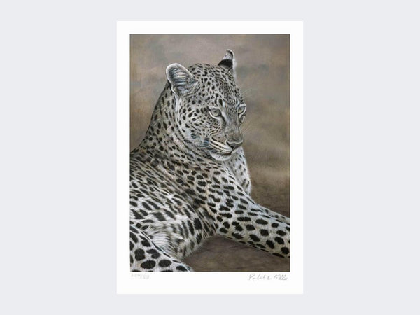 Leopard of Londolozi | Limited Edition Art Print Leopard of Londolozi | Limited Edition Art Print