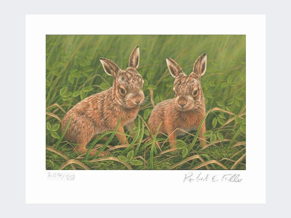 Leverets - Hidden Gems | Limited Edition Art Print Leverets - Hidden Gems | Limited Edition Art Print