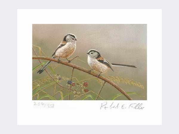 Mésanges à longue queue sur mûres | Impression d'art en édition limitée Mésanges à longue queue sur mûres | Impression d'art en édition limitée