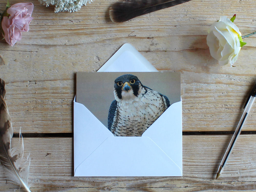 Notelet-Peregrine-Portrait-Lifestyle