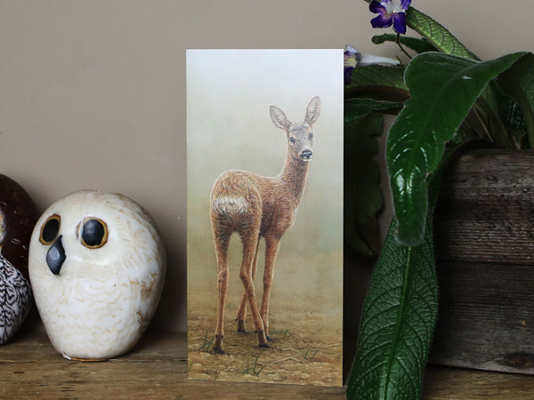 Rehkitz blickt zurück | 5er-Pack kleine blanko Grußkarten Rehkitz blickt zurück | 5er-Pack kleine blanko Grußkarten