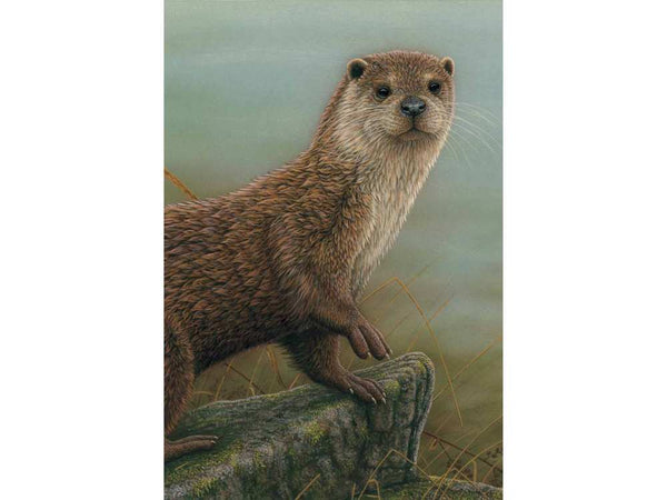 Otter | Original Painting Otter | Original Painting