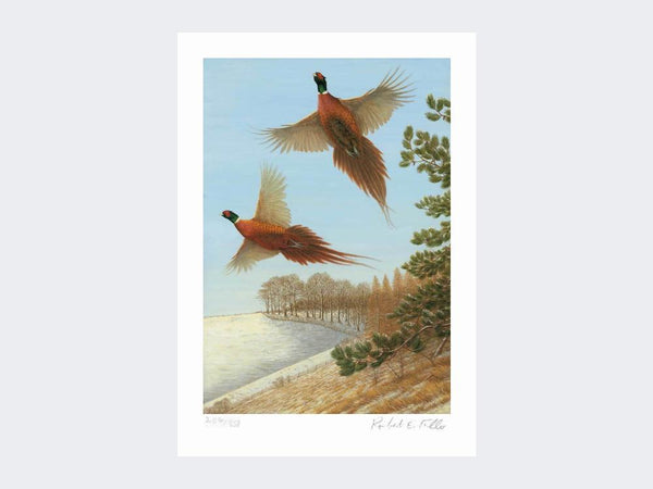 Pheasants at Deep Dale | Limited Edition Art Print Pheasants at Deep Dale | Limited Edition Art Print