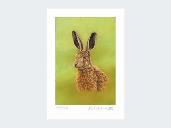 Portrait of a Leveret | Limited Edition Art Print Portrait of a Leveret | Limited Edition Art Print