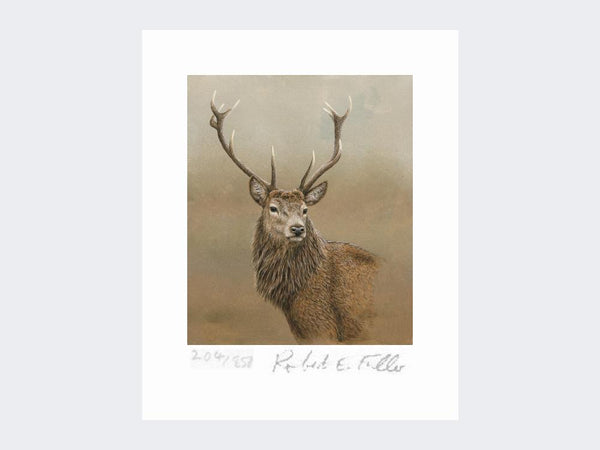 Cerf rouge d'Etive | Tirage d'art en édition limitée Cerf rouge d'Etive | Tirage d'art en édition limitée