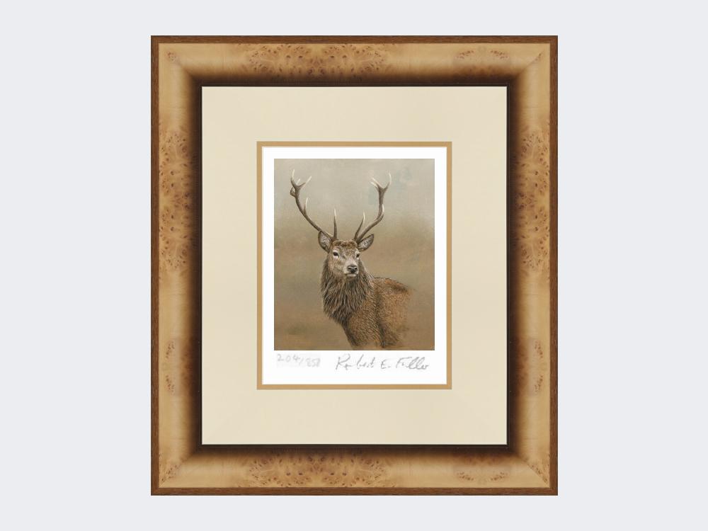 Red-Stag-of-Etive-Print-Medium-Light-Burr