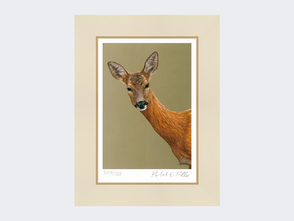 Roe-Doe-Print-Mounted-Print-Only