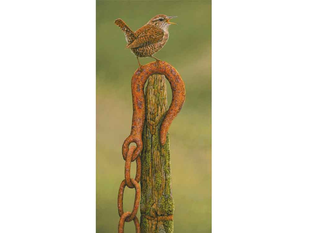 SIZE-B-WREN-HOOK