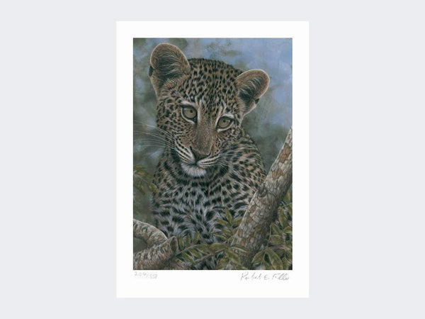 Safe Haven | Limited Edition Art Print Safe Haven | Limited Edition Art Print