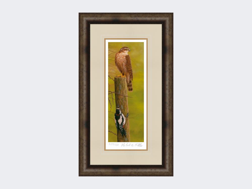 Sparrowhawk-and-Woodpecker-Print-Medium-Dark-Grey-Burr