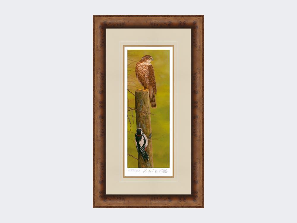 Sparrowhawk-and-Woodpecker-Print-Medium-Walnut-Burr
