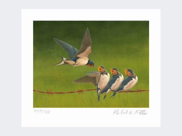 Swallows - Time for Tea | Limited Edition Art Print Swallows - Time for Tea | Limited Edition Art Print
