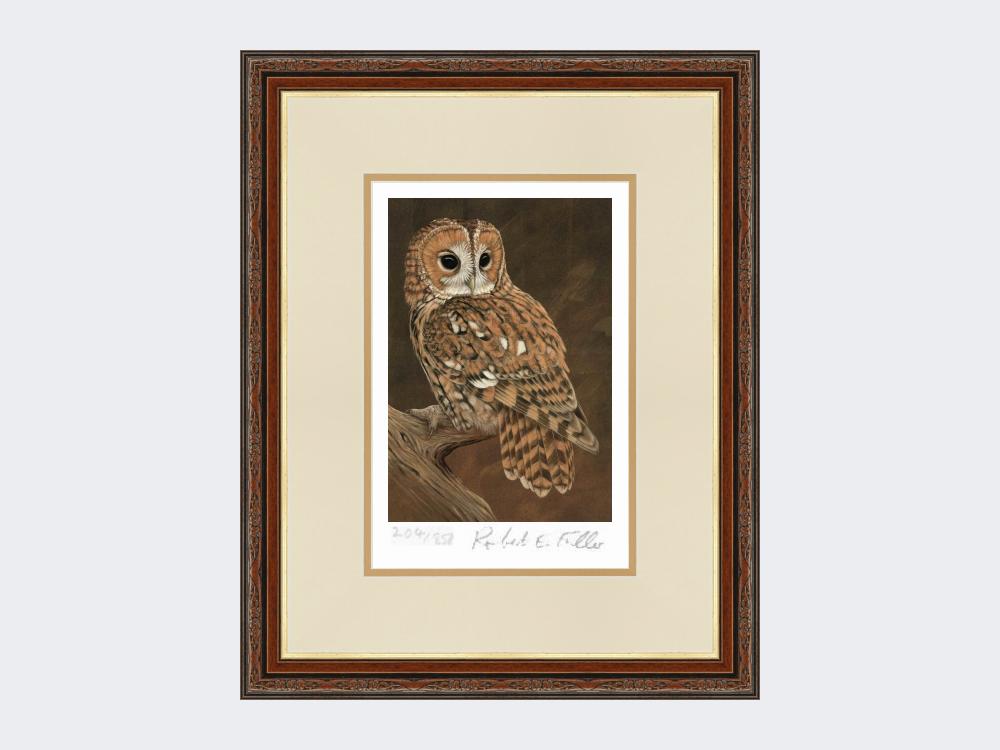 Tawny-Owl-on-Lookout-Print-Harvest-Twist