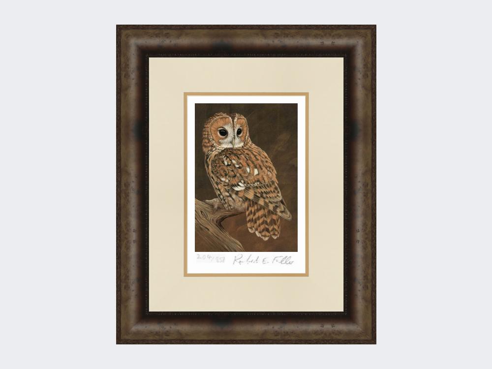 Tawny-Owl-on-Lookout-Print-Medium-Dark-Grey-Burr