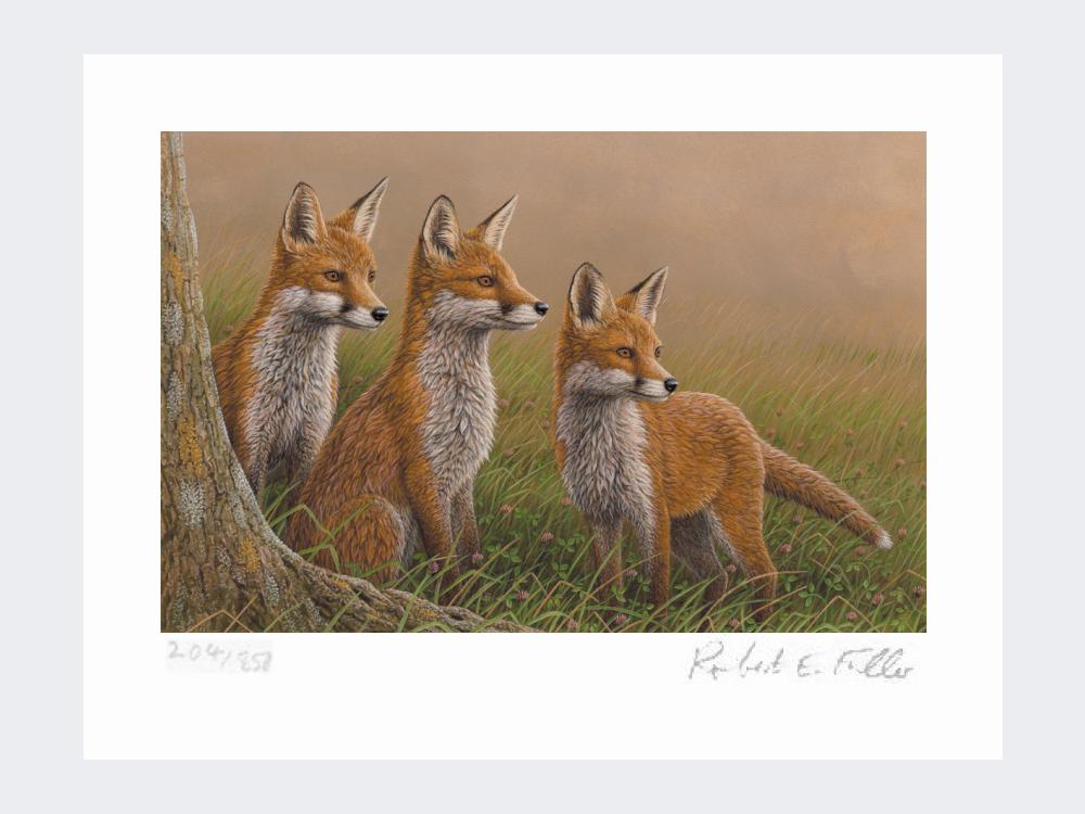 Three-Fox-Cubs-Print-Loose-Print-Only