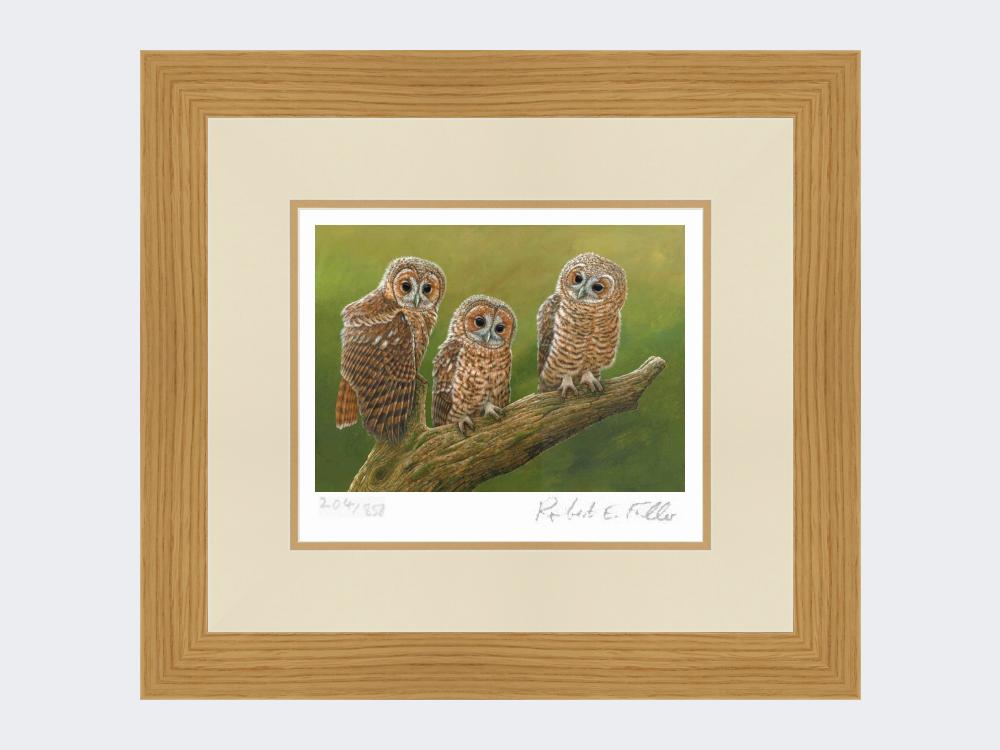 Three-Tawny-Owls-Print-Light-Oak