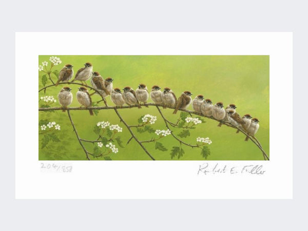 Feldsperlinge | Kunstdruck in limitierter Auflage Feldsperlinge | Kunstdruck in limitierter Auflage