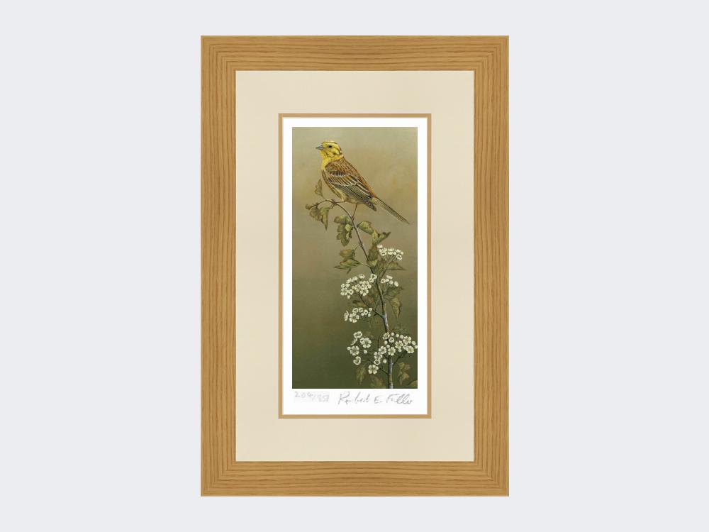 Yellowhammer-Limited-Edition-Print-Light-Oak