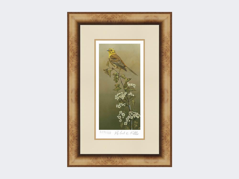 Yellowhammer-Limited-Edition-Print-Medium-Light-Burr
