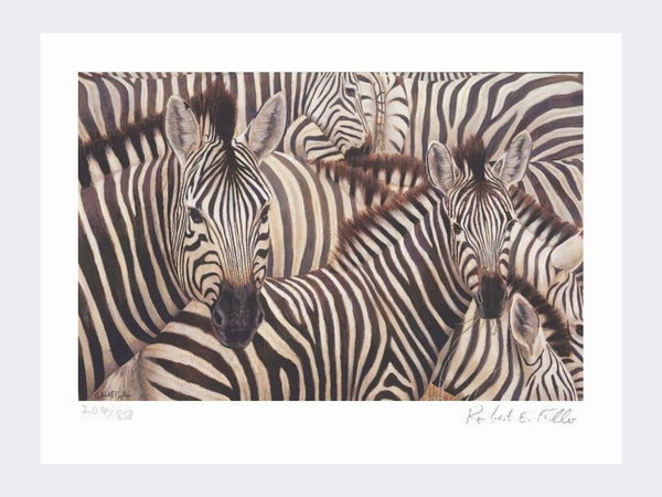 Zebra Crossing | Limited Edition Art Print Zebra Crossing | Limited Edition Art Print